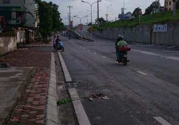 Cùng Phi Long tìm hiểu dịch vụ xe tải uy tín?