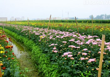 Dịch vụ thuê xe tải giá rẻ huyện Mê Linh