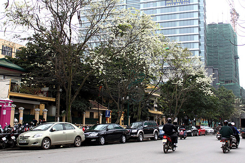 Dịch vụ taxi tải chuyên nghiệp tại phố Vũ Phạm Hàm 