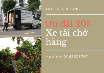 Dịch vụ vận chuyển hàng Tết Phi Long tại xã Vân Hà giảm giá 20%